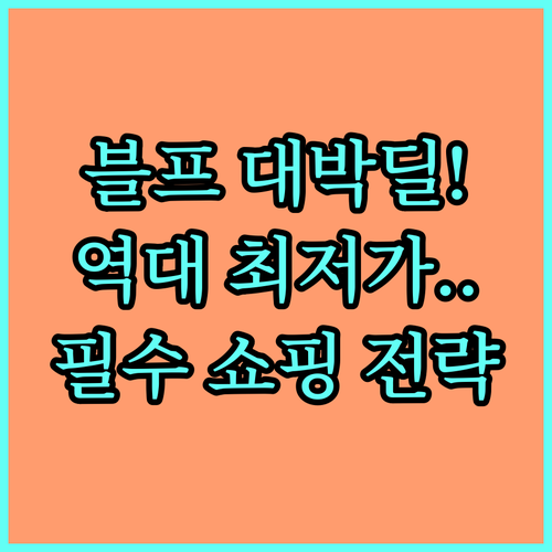 2025 블랙프라이데이 역대 최저가 ..