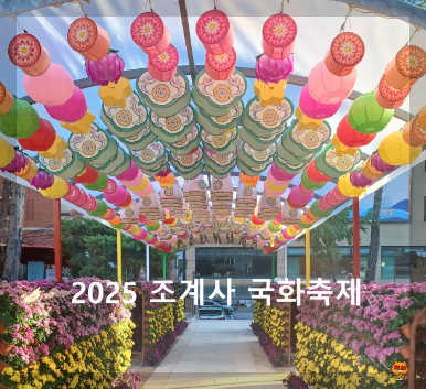 조계사-국화축제