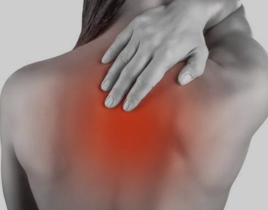 췌장암-등통증-위치