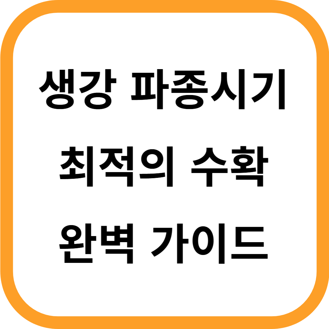 생강 파종시기