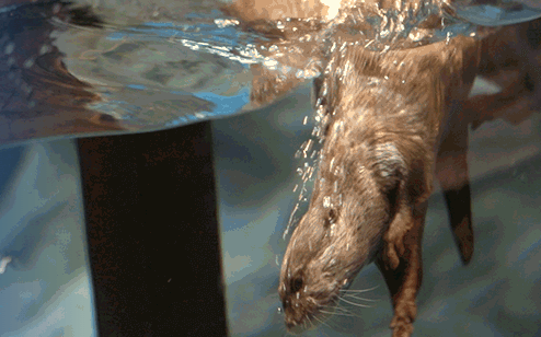 서울 데이트코스 추천