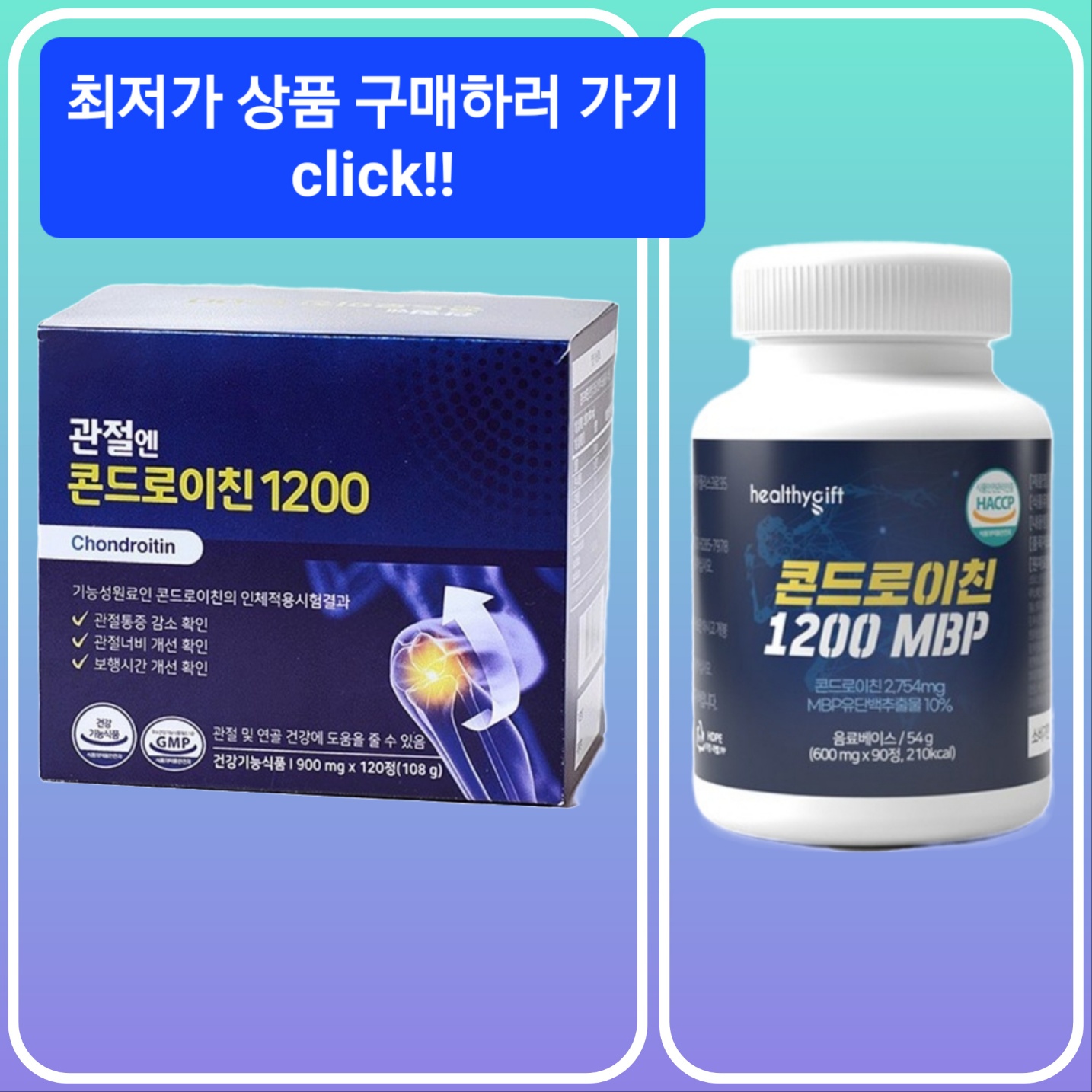 콘드로이친 추천