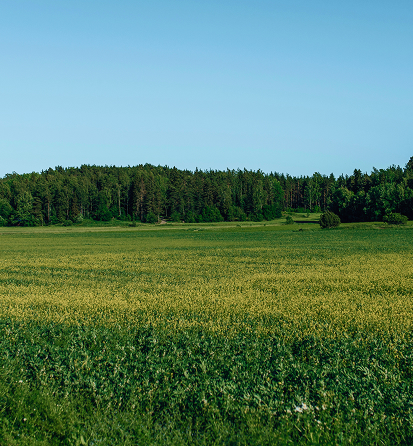 [어린이날, 5월 연휴 추천]제12회 부안마실축제❘기간, 일정, 프로그램, 사전예약 정보 총정리