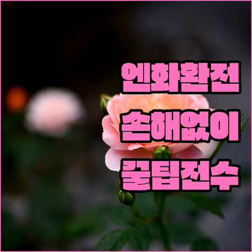 엔화 환전, 손해 보지 않는 법: 전