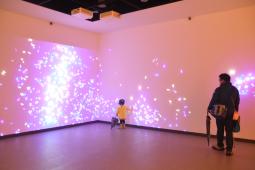 함평나비대축제