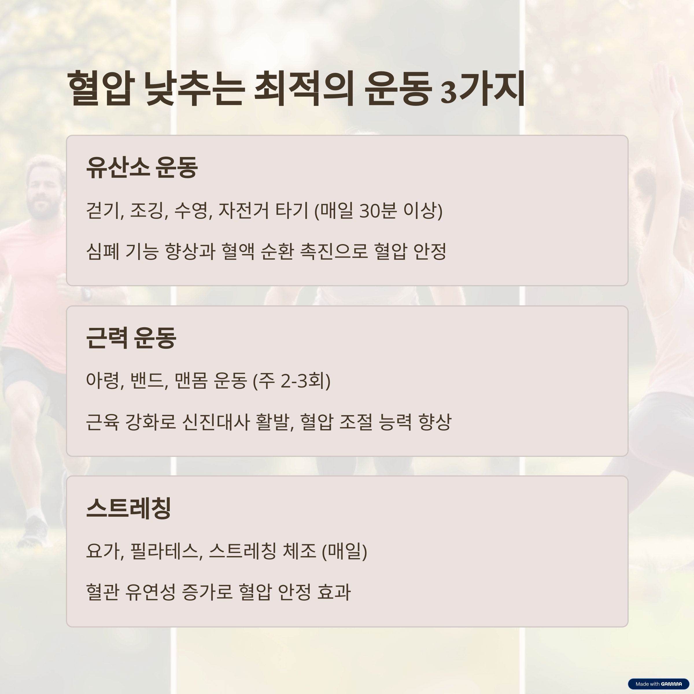 혈압 낮추는 최고의 운동: 유산소 운동, 근력 운동, 스트레칭