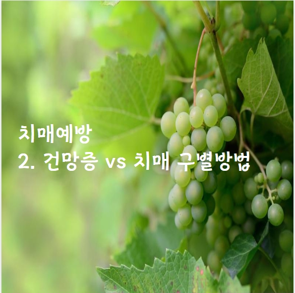 2. 건망증 vs 치매, 어떻게 구별할 수 있을까?