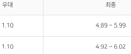 금융인 대출