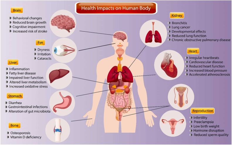 강황 추출물 섭취 시 주의해야 할 부작용