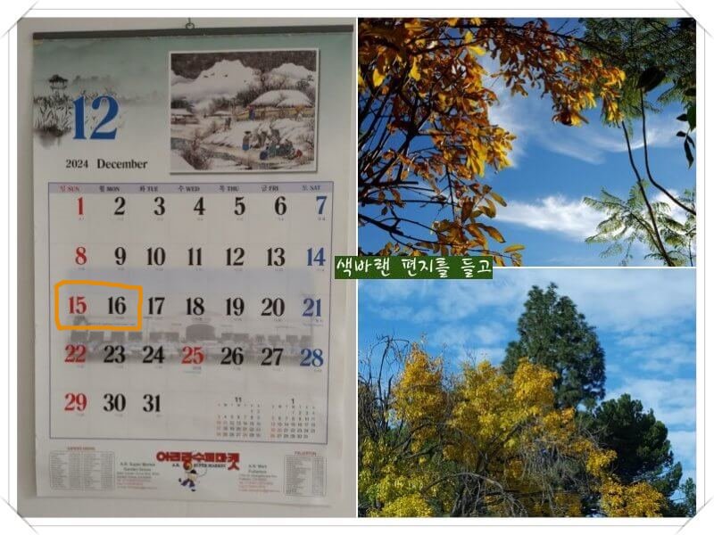 사계절 중-가장 특별했던 계절-12월 겨울