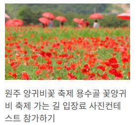 원주 양귀비축제