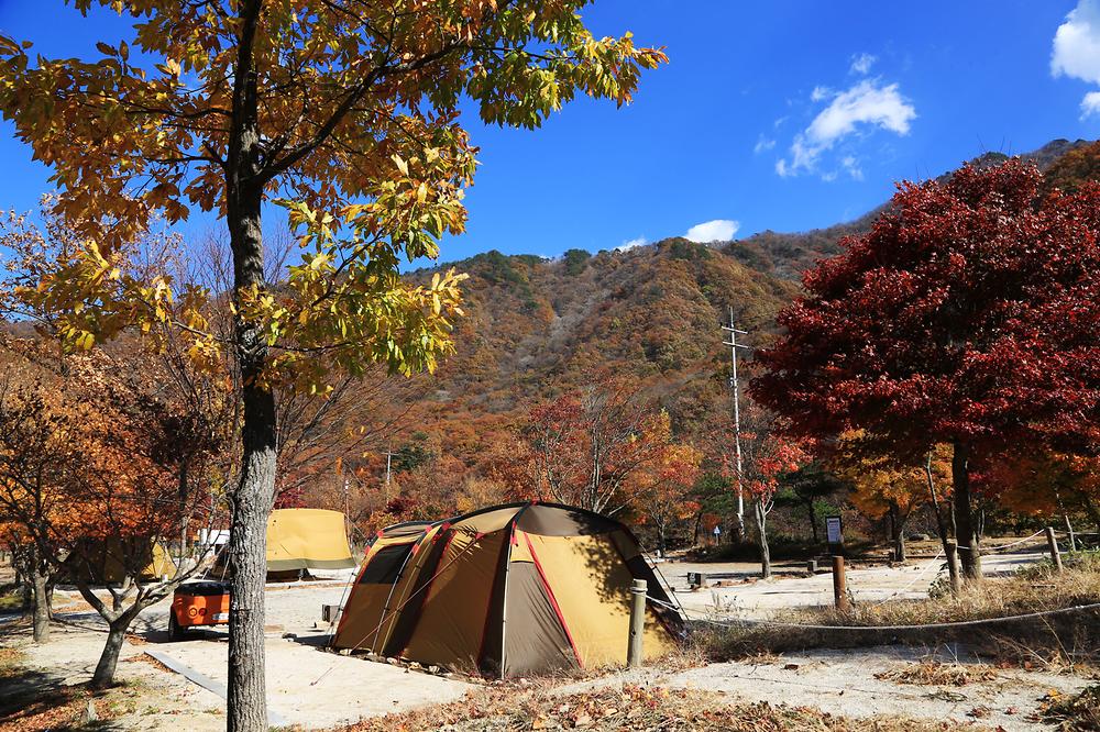 지리산 달궁자동차야영장

전북 남원시 산내면 덕동리 274
