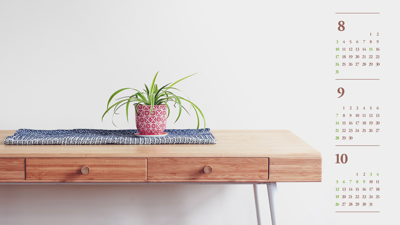 11 테이블 위에 난초 B - 2025년9월 노트북배경화면