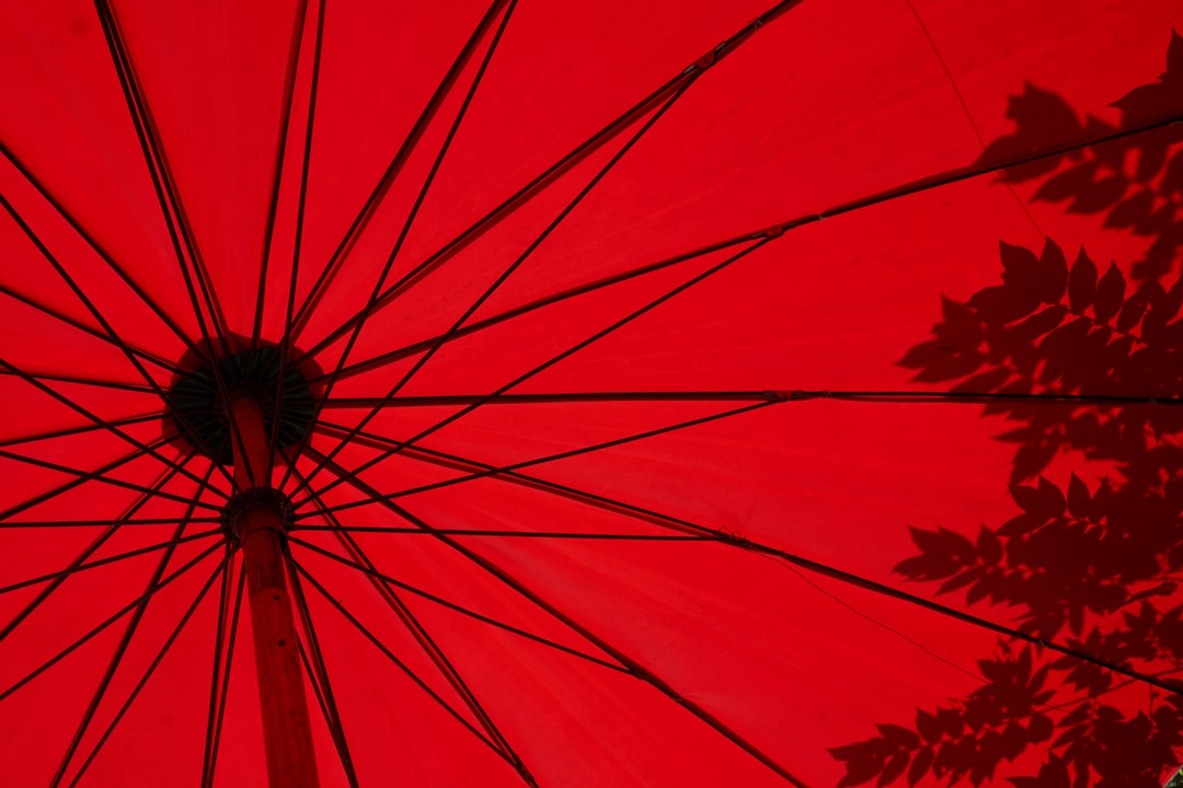 Red ginseng