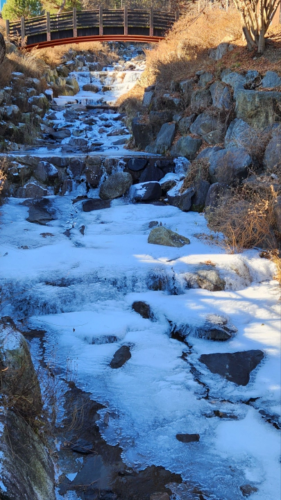 얼어붙은 가평잣향기푸른숲 계곡