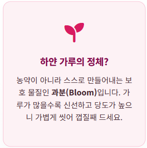 자두 효능