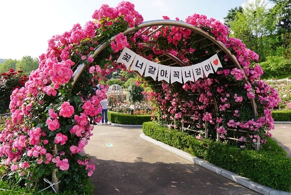 장미축제-포토존