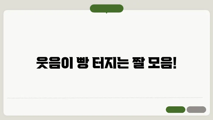 웃긴 짤 모음