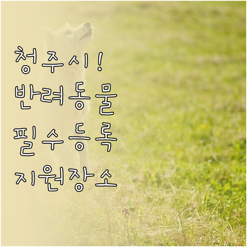 청주시 반려동물 지원 사업 동물등록 ..