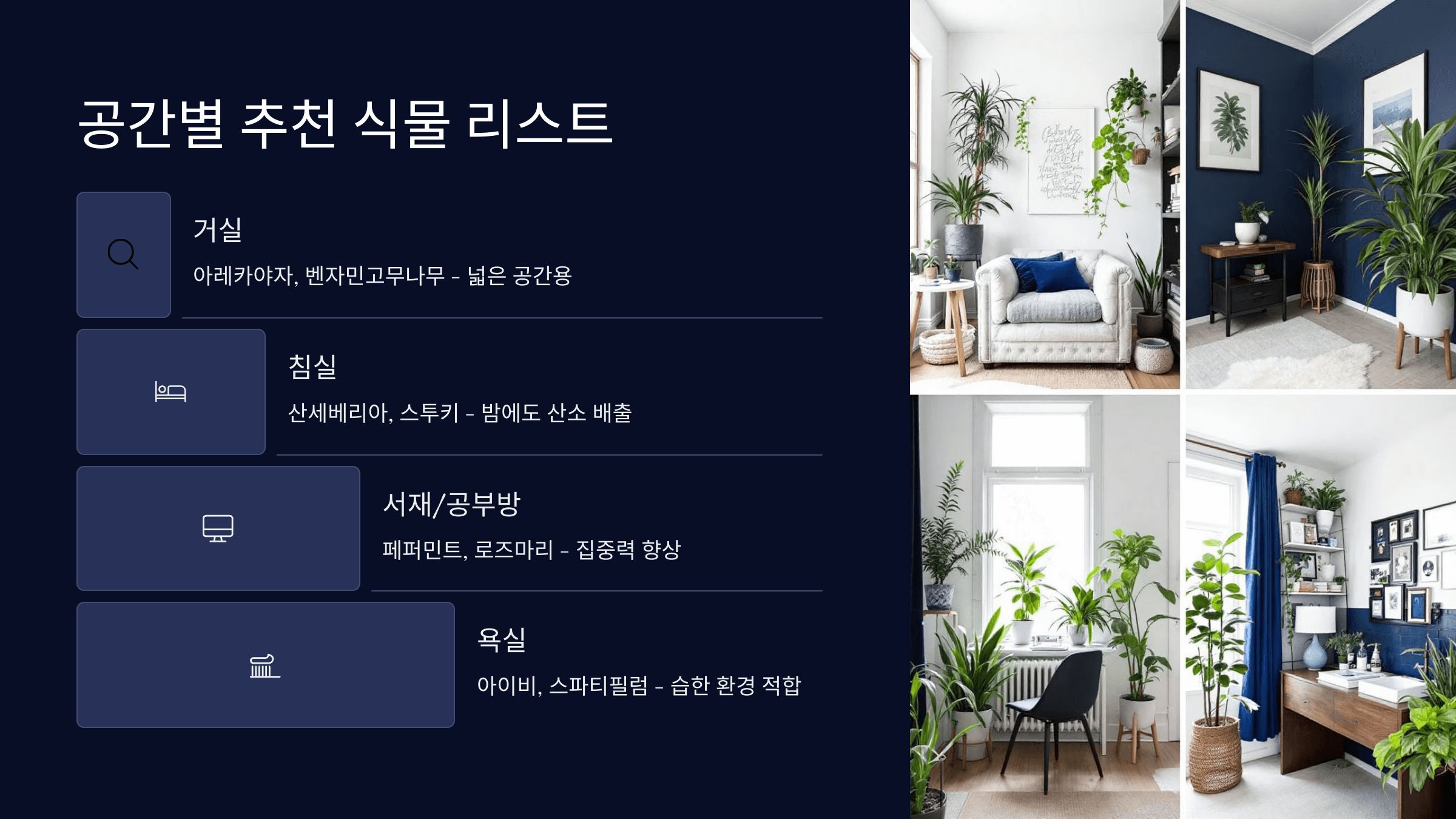 추천 식물