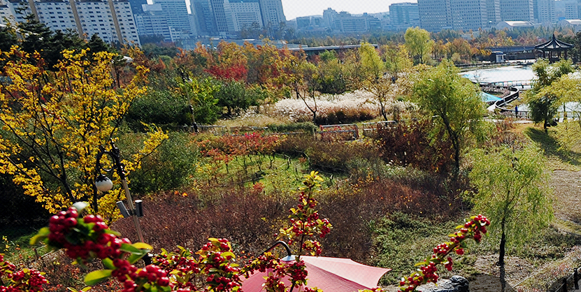 2022 단풍시기 명소 가을 여행지 BEST 7 추천 정리 화담숲 선운사 단풍터널 포함