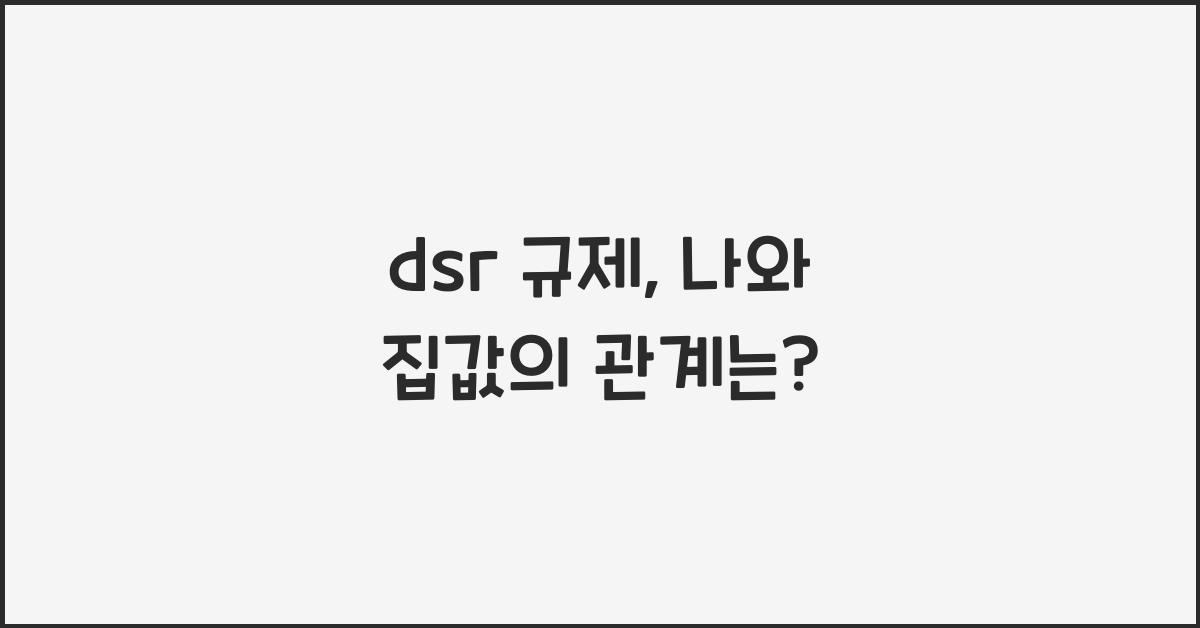 dsr 규제