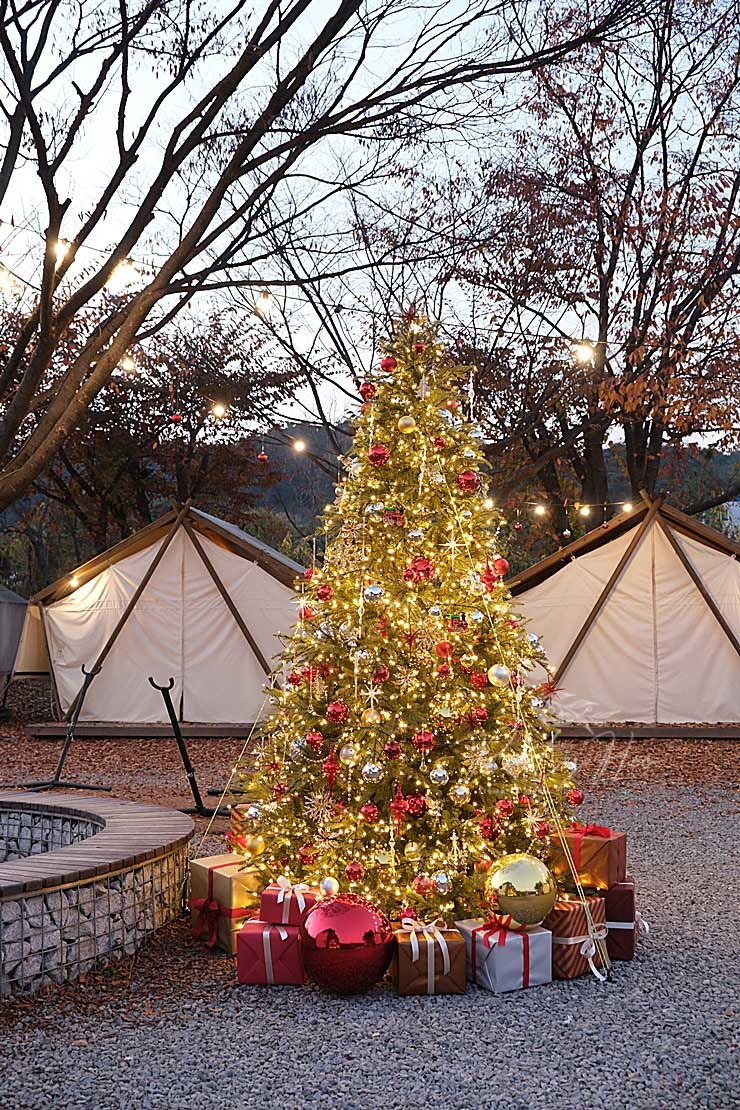 대형 크리스마스 트리