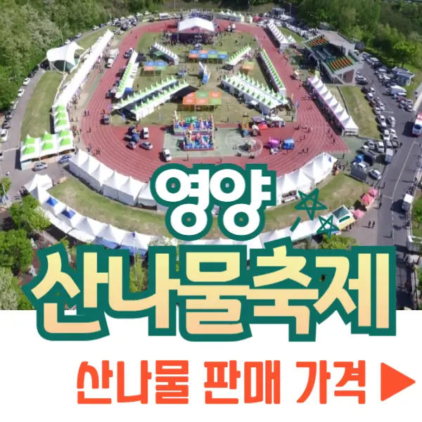 영양 산나물축제 산나물 판매 가격
