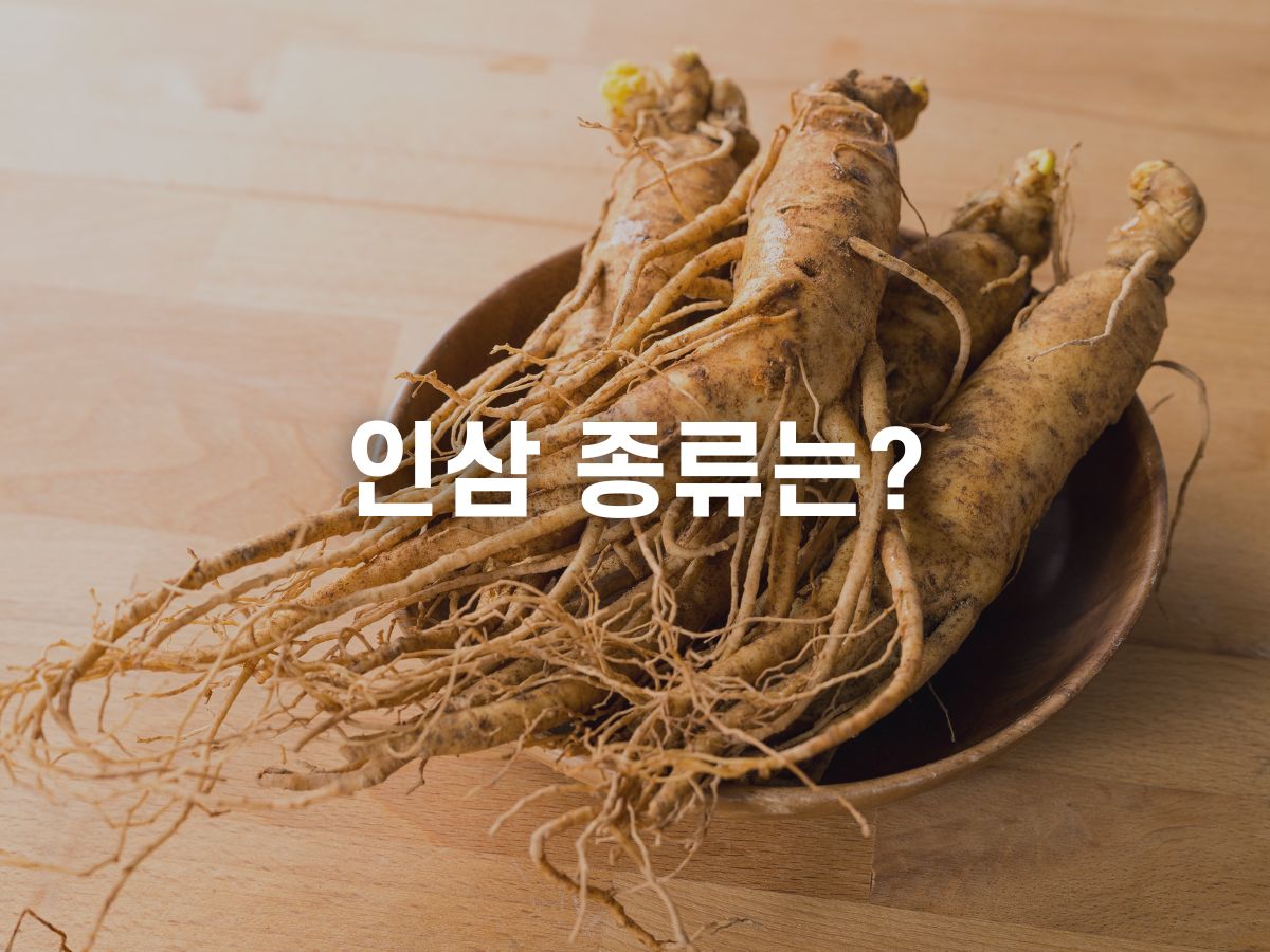 인삼 종류
