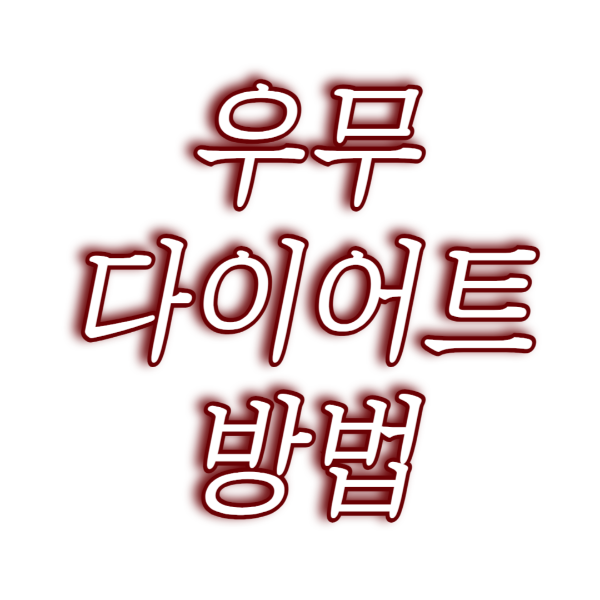 우무 다이어트 방법