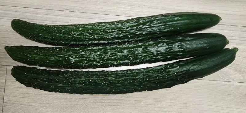 오이-3개