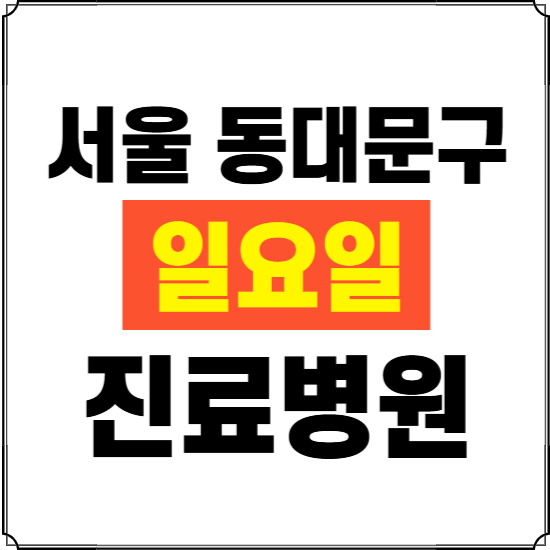 서울 동대문구 일요일 진료병원 찾기 ❘ 24시 휴일 주말 응급 야간 심야 문여는 병원