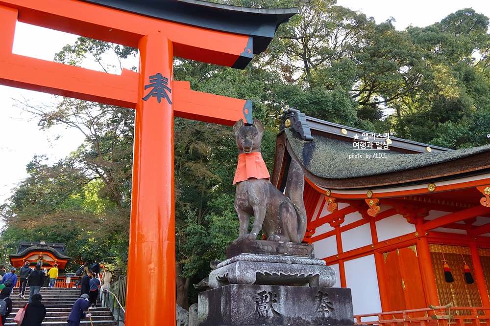 일본 여행, 교토 버스투어 현대카드 × kkday 일본여행 30% 할인