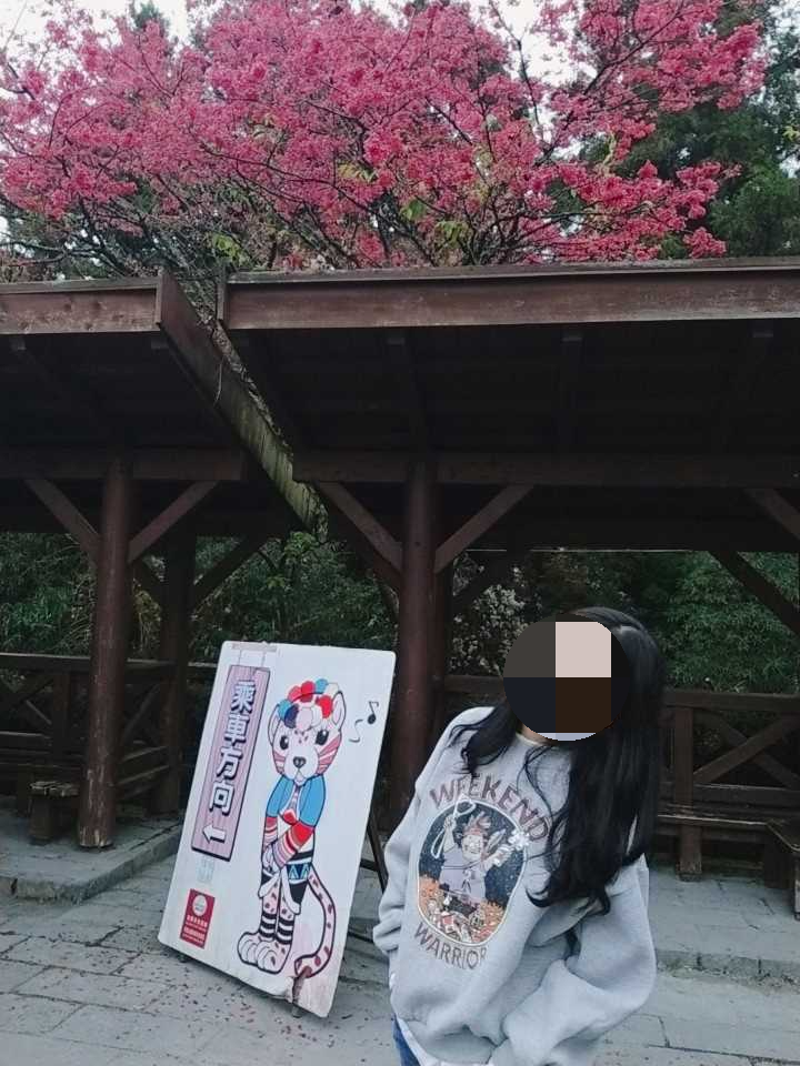 아리산