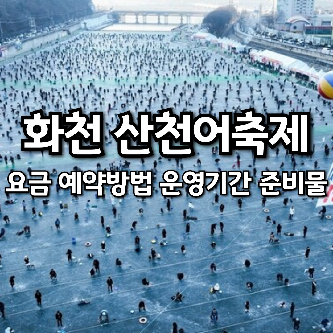 화천 산천어축제