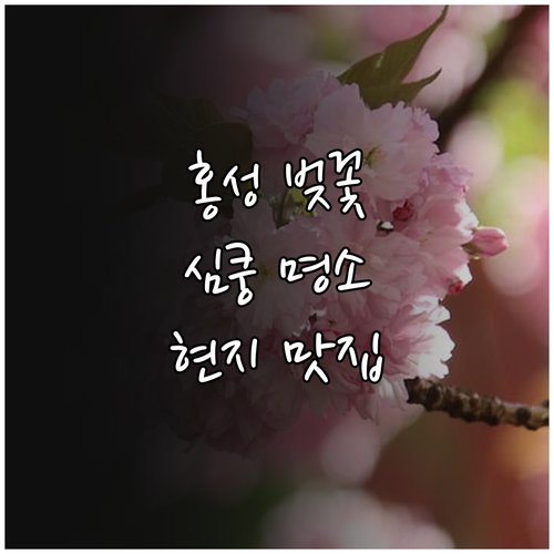 충남 홍성 벚꽃 구경하기 좋은 곳과 ..