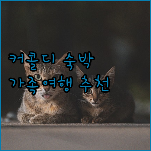 커콜디 딘 파크 호텔 숙박 후기! 재..
