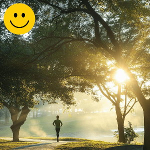 슬로우 조깅 방법과 효과