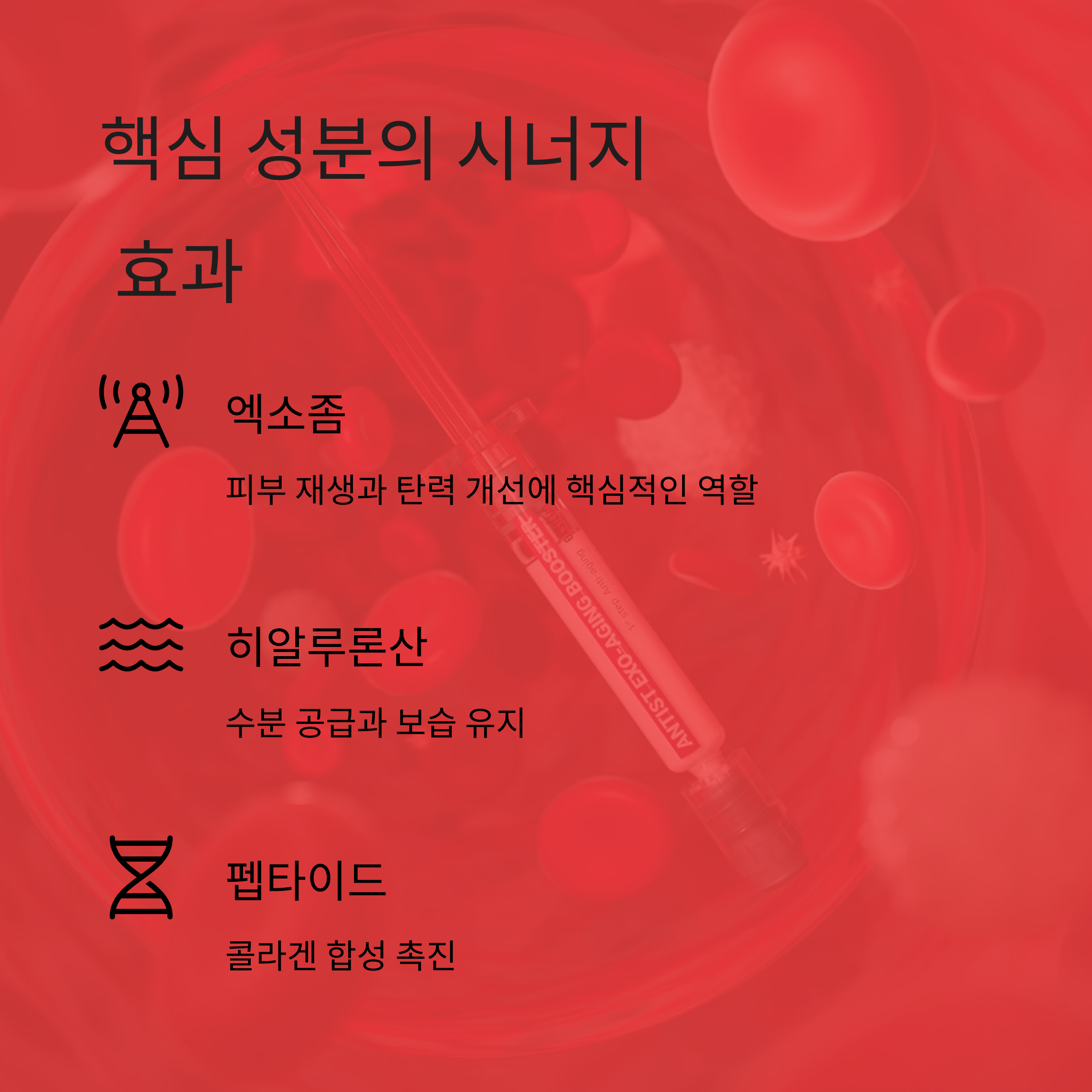 핵심 성분의 시너지

 효과

엑소좀

피부 재생과 탄력 개선에 핵심적인 역할

히알루론산

수분 공급과 보습 유지

펩타이드

콜라겐 합성 촉진