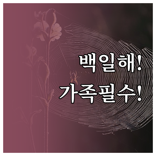 성인 백일해 예방접종 비용과 가족 접..