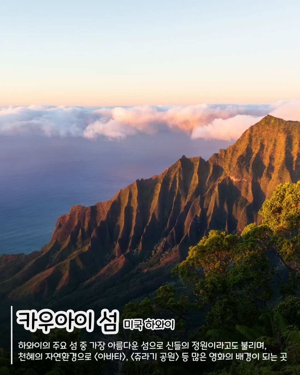 자연 속 여행