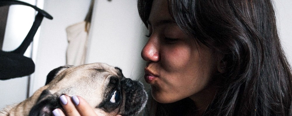 새끼 강아지 키우는법 11 이미지