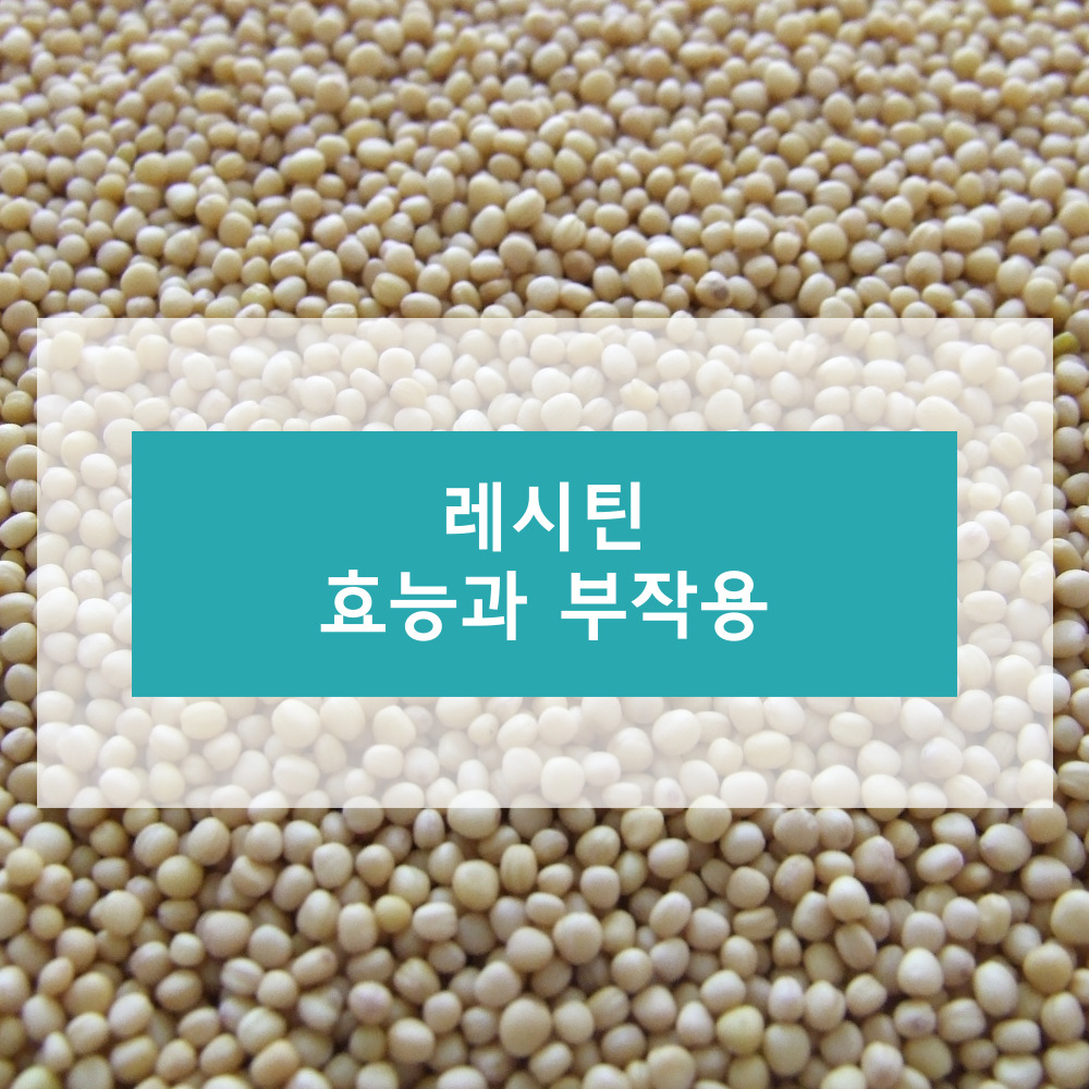 레시틴에 대하여