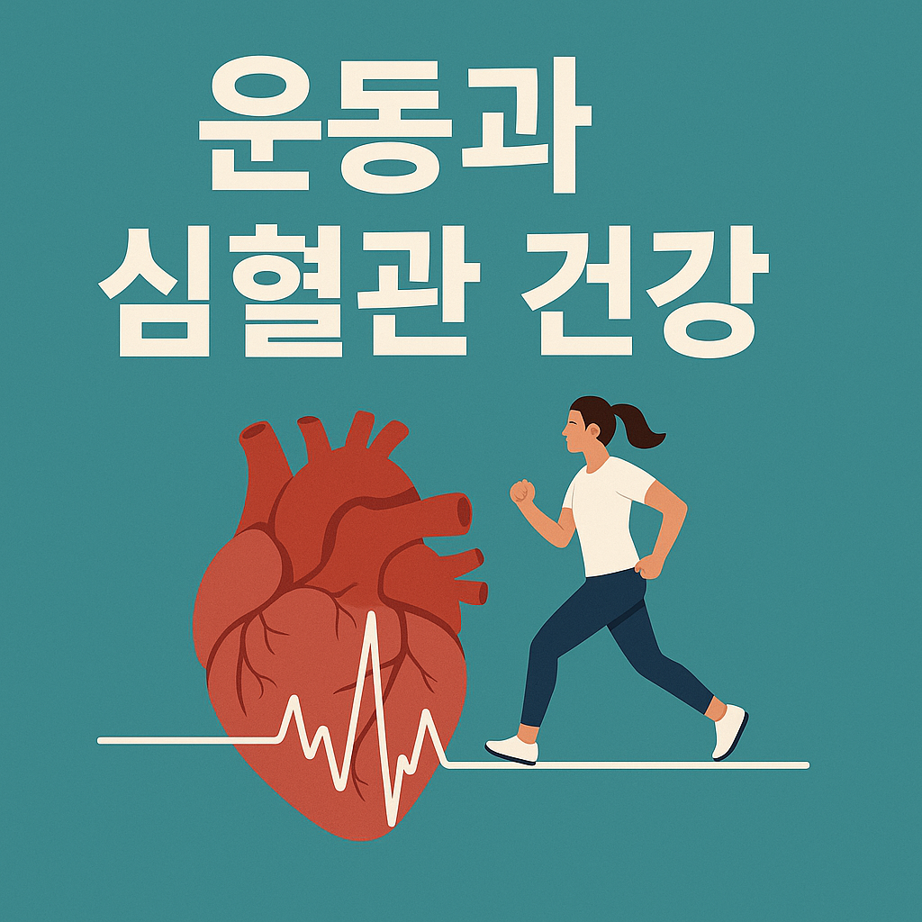 운동과 심혈관 건강 관련 사진