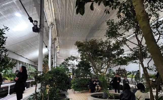 창경궁 물빛연화 관람 꿀팁(입장료,관람시간,추천코스)