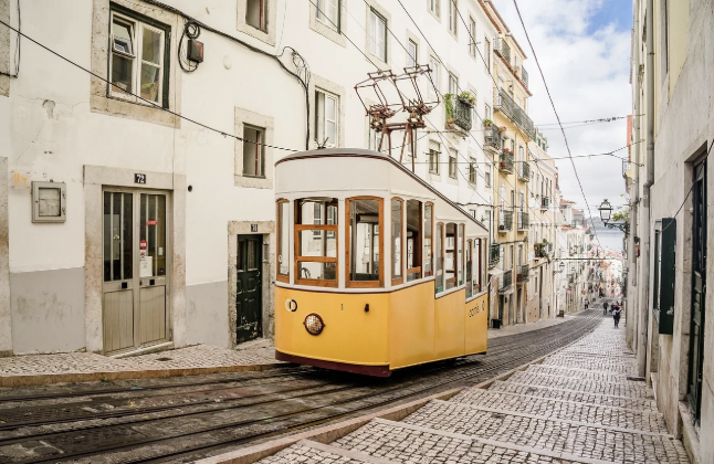 세계에서 가장 독특한 교통수단 체험