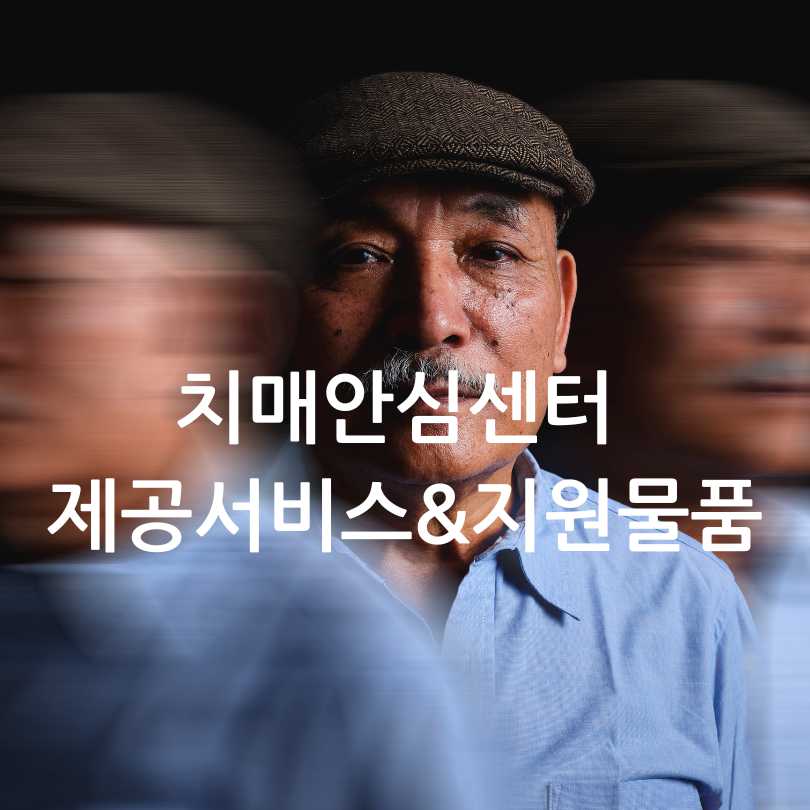 치매안심센터의 제공 서비스 및 지원 물품
