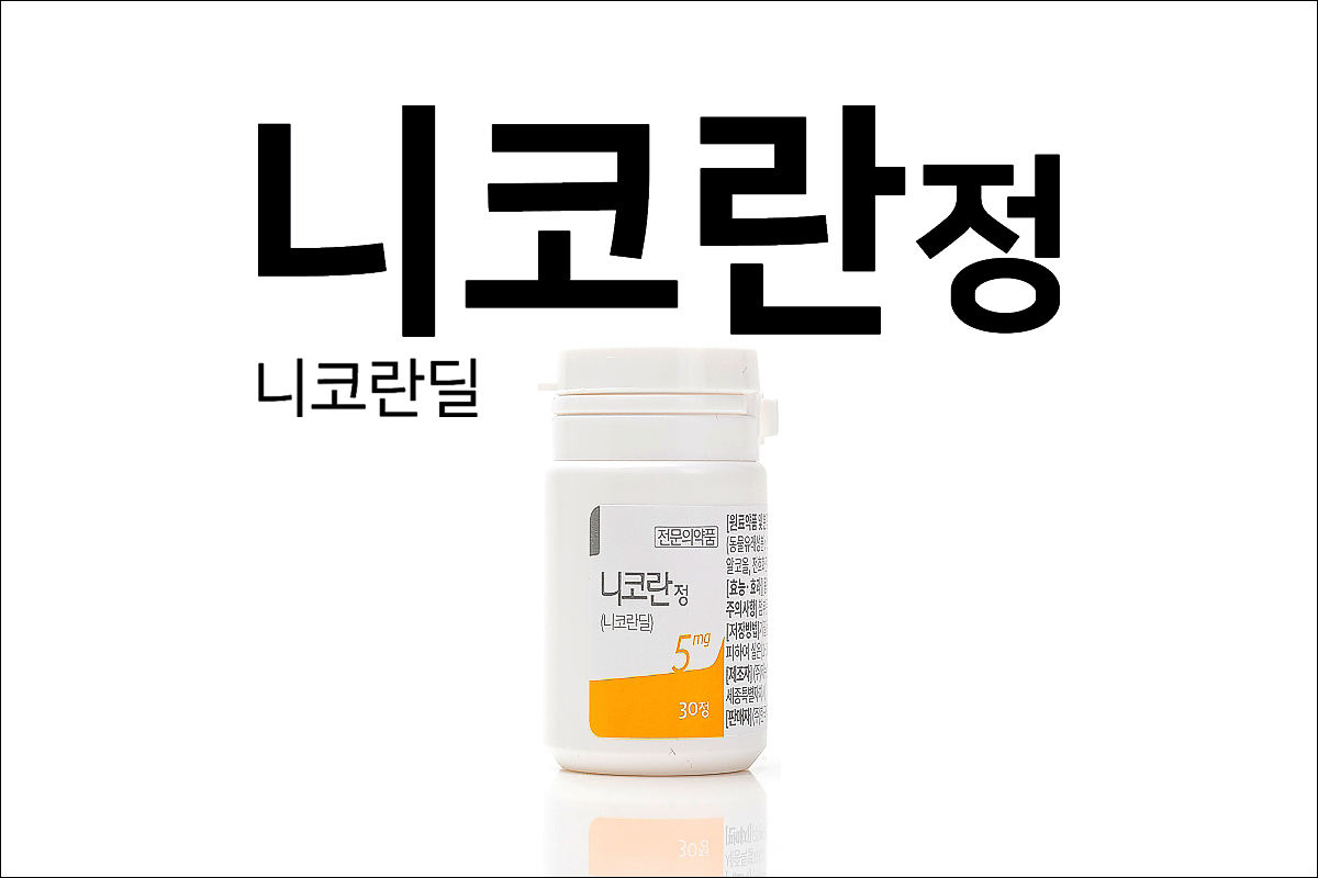 니코란정(Nicoran Tab)