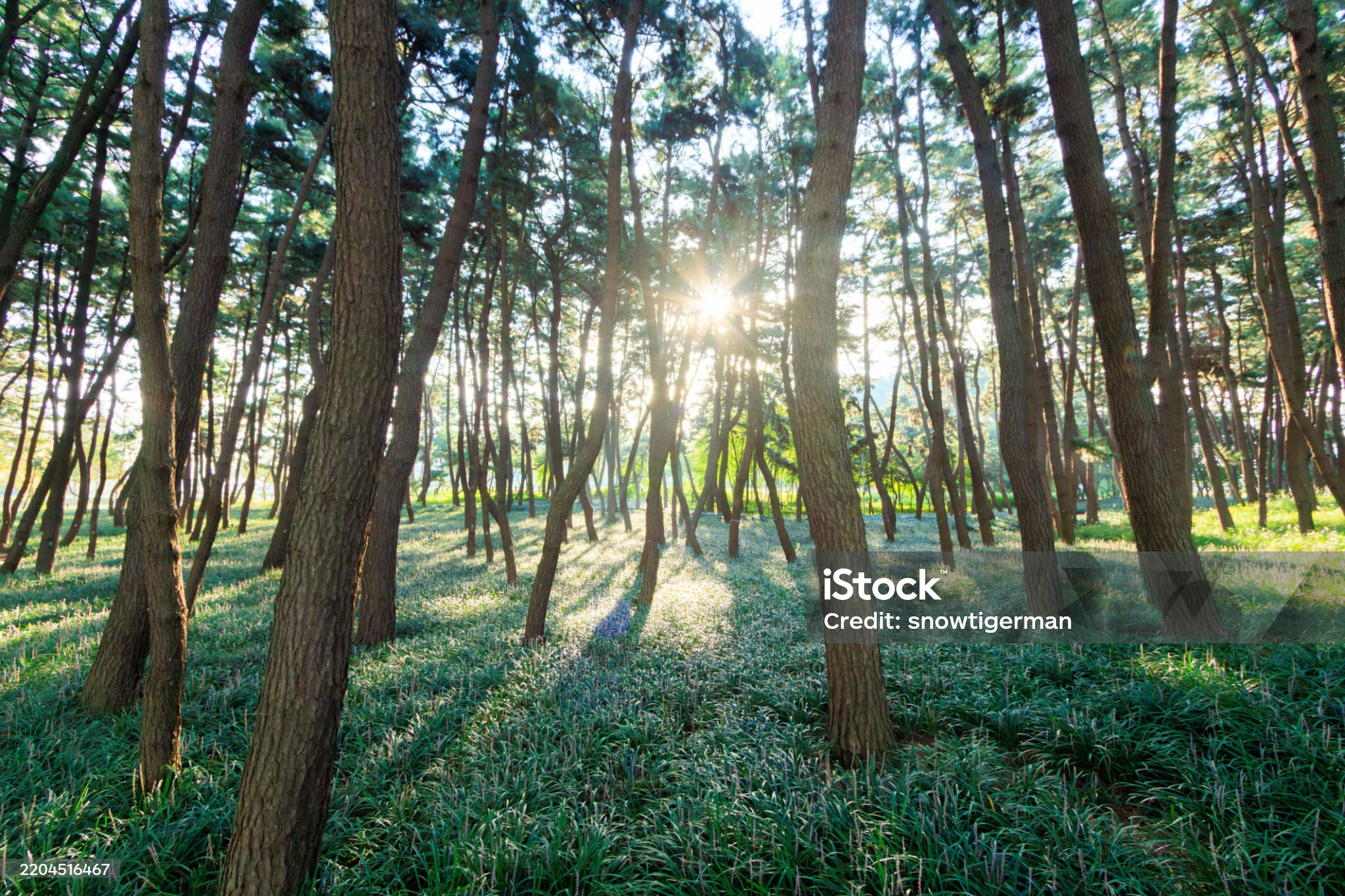 충남 여행 - 서천