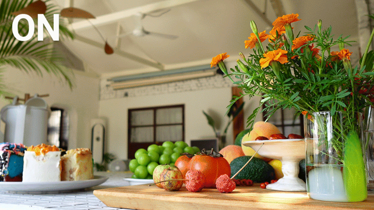 소니 브이로그 카메라 ZV-1F 배경흐림 보케